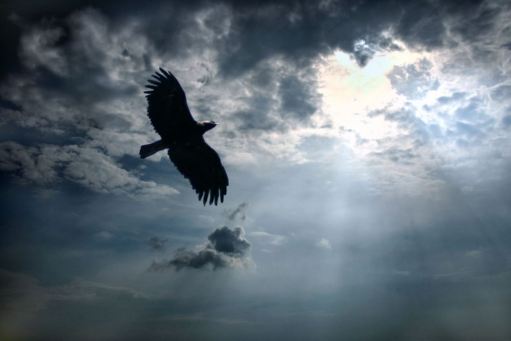 valentines-gift-of-enlightenmentb